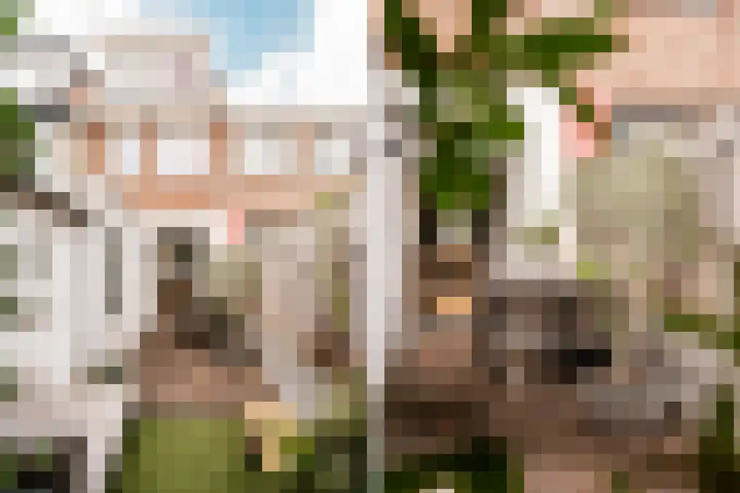 Bankastraat 20 Haarlem thumbnail 18