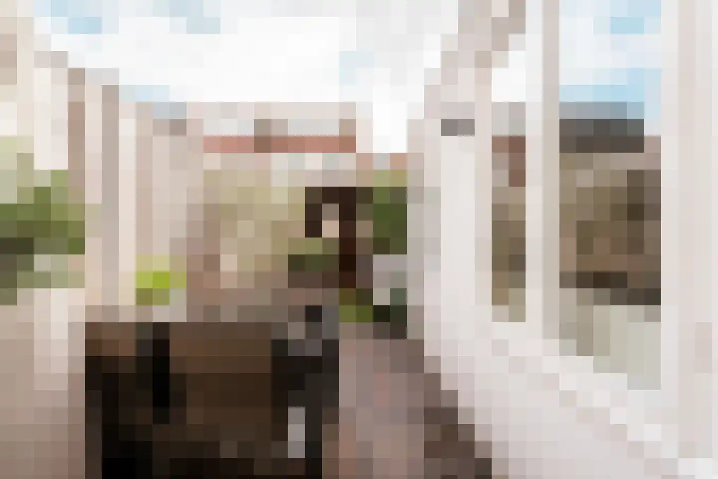 Bankastraat 20 Haarlem thumbnail 19