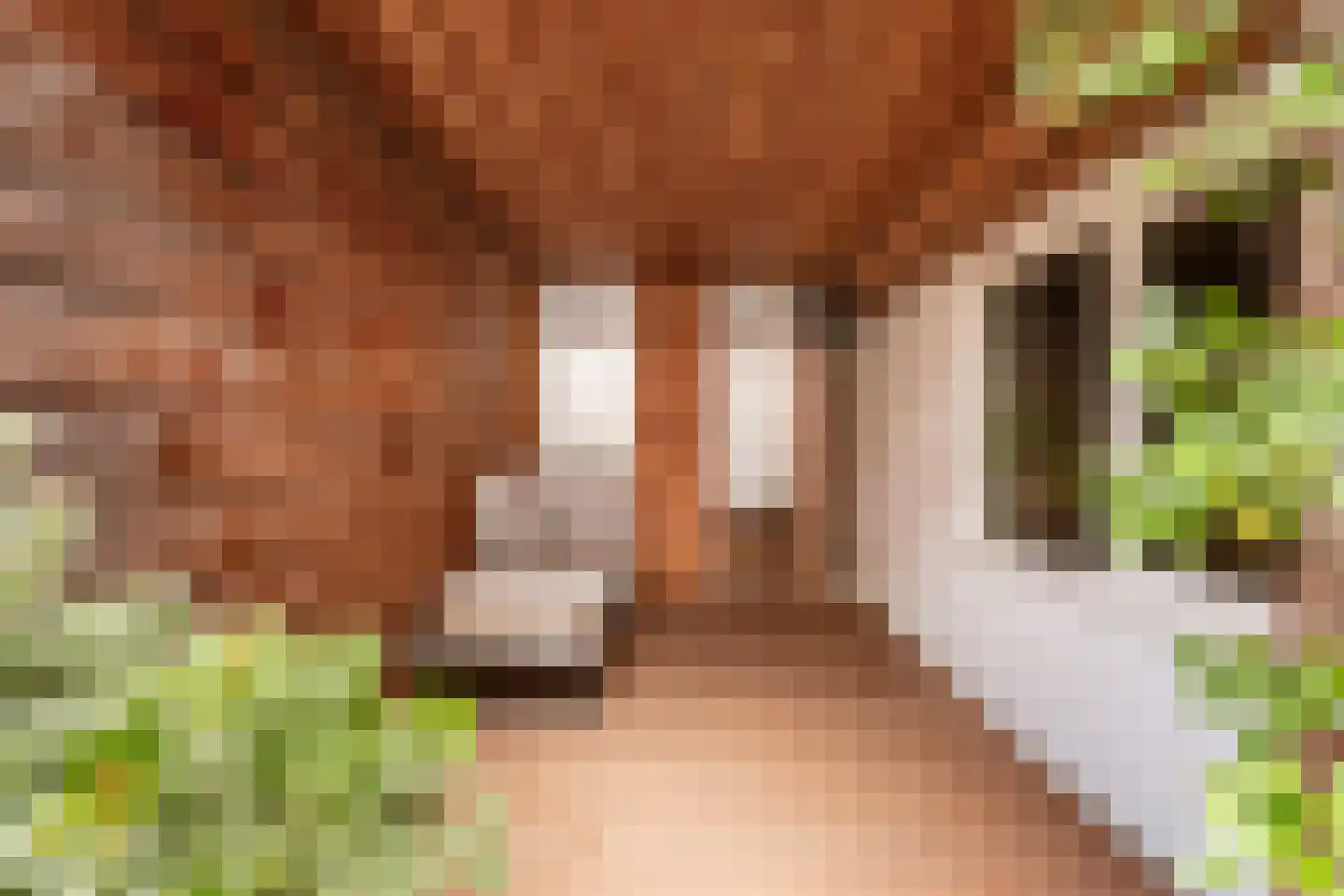 Bankastraat 20 Haarlem thumbnail 20