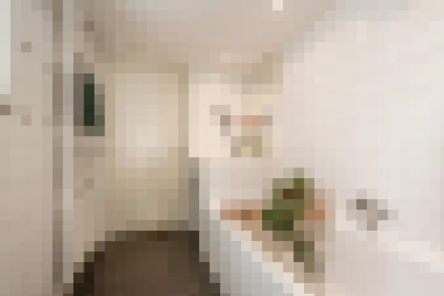 Bankastraat 20 Haarlem thumbnail 21