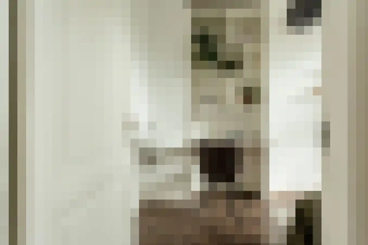 Bankastraat 20 Haarlem thumbnail 23