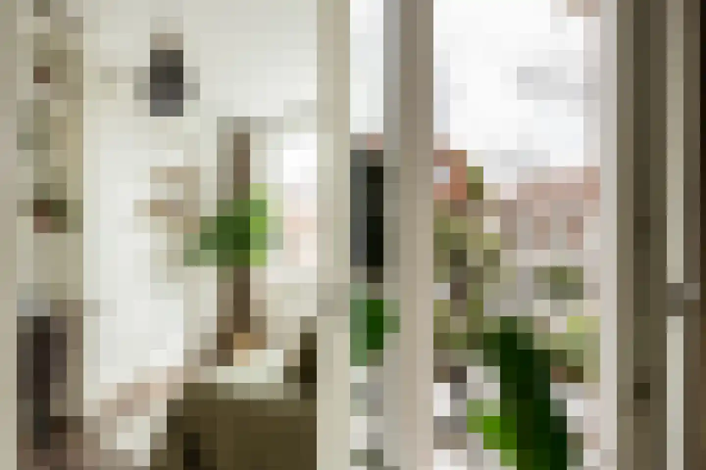 Bankastraat 20 Haarlem thumbnail 24