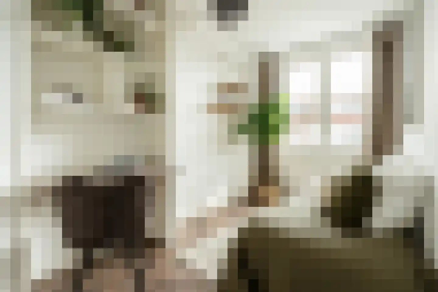 Bankastraat 20 Haarlem thumbnail 25