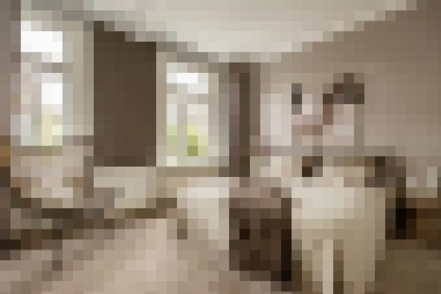 Bankastraat 20 Haarlem thumbnail 27