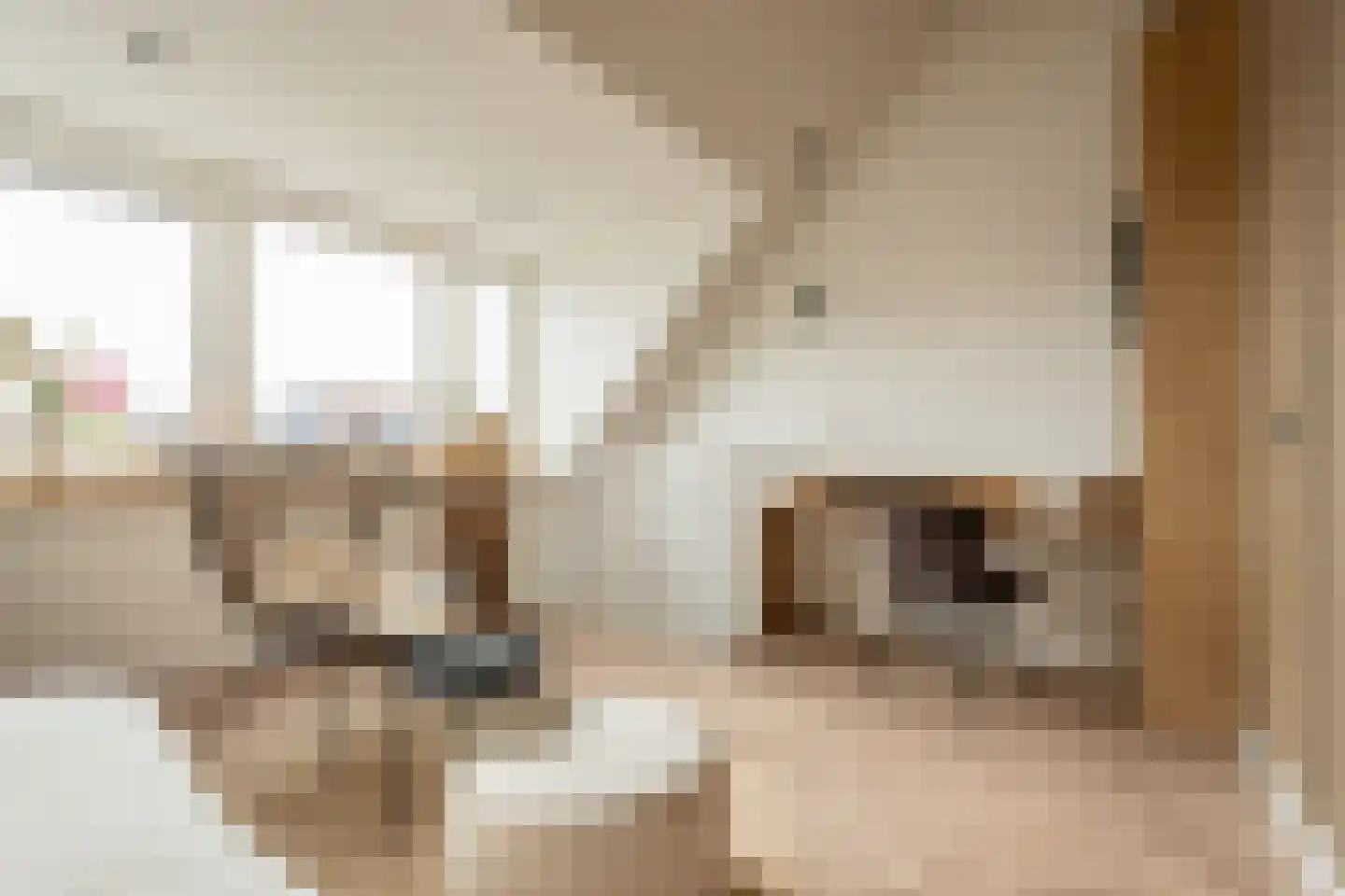 Bankastraat 20 Haarlem thumbnail 31