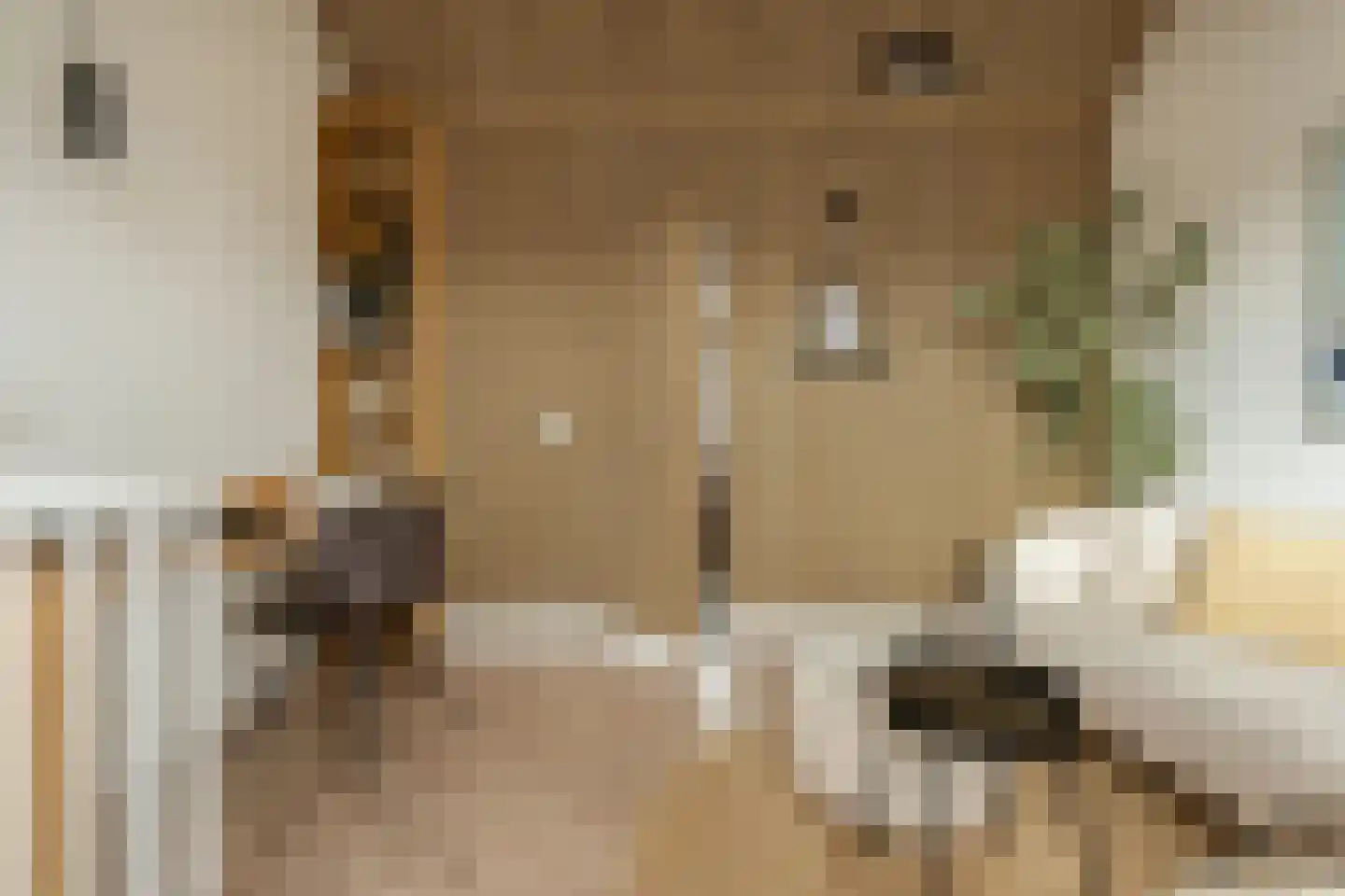Bankastraat 20 Haarlem thumbnail 32