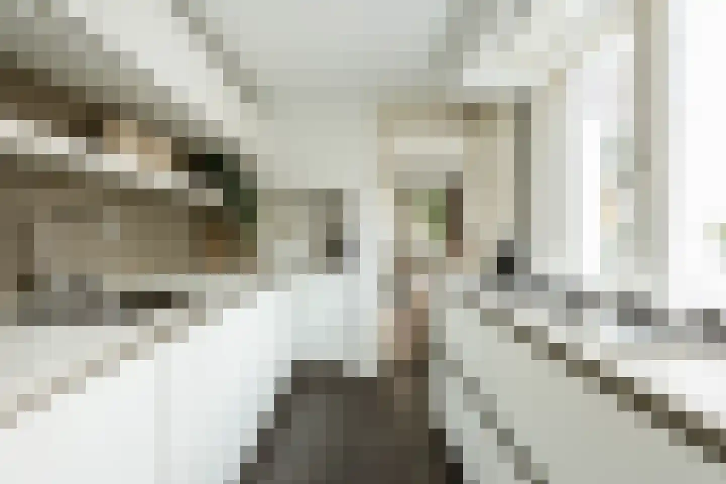 Bankastraat 20 Haarlem thumbnail 4