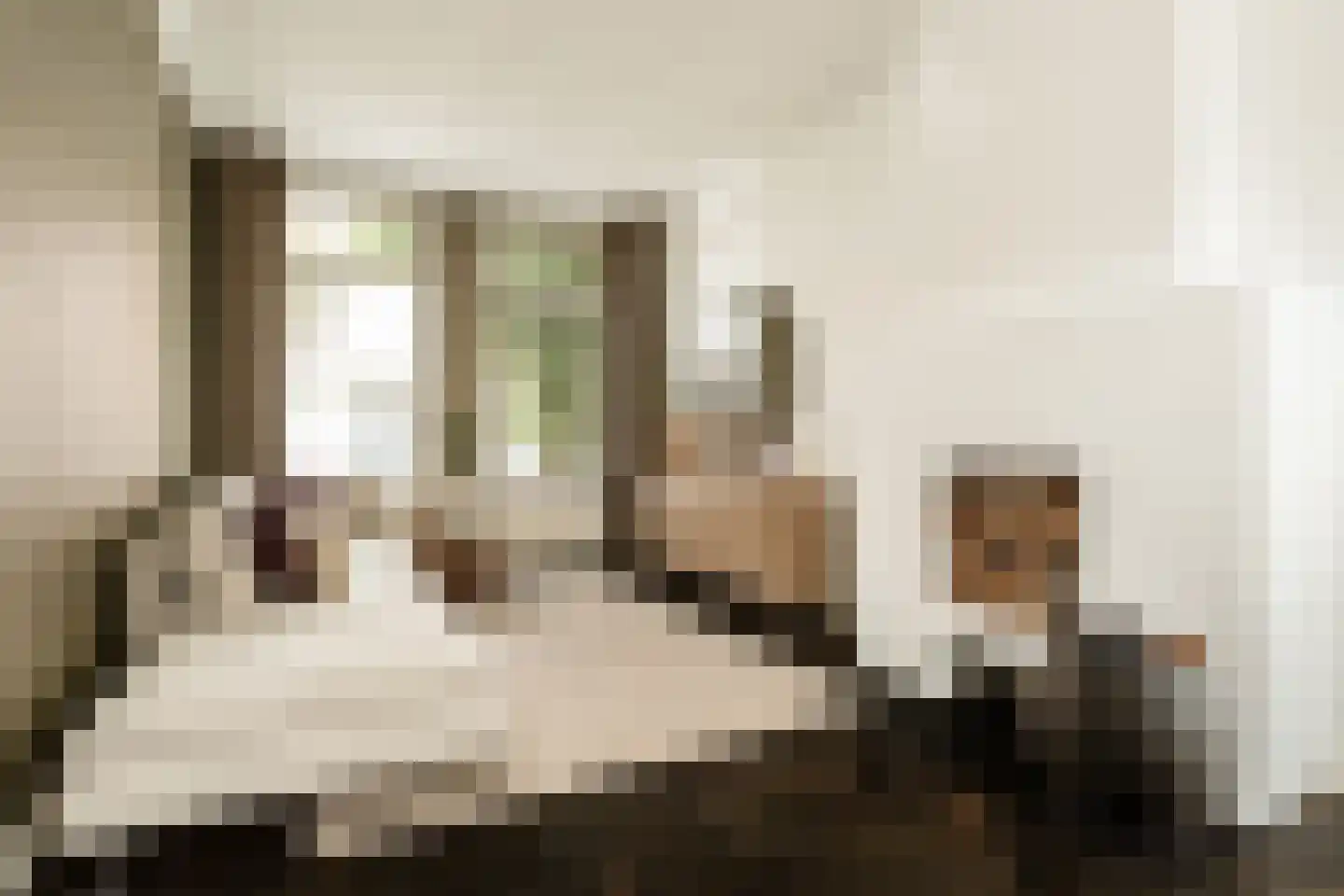 Bankastraat 20 Haarlem thumbnail 8