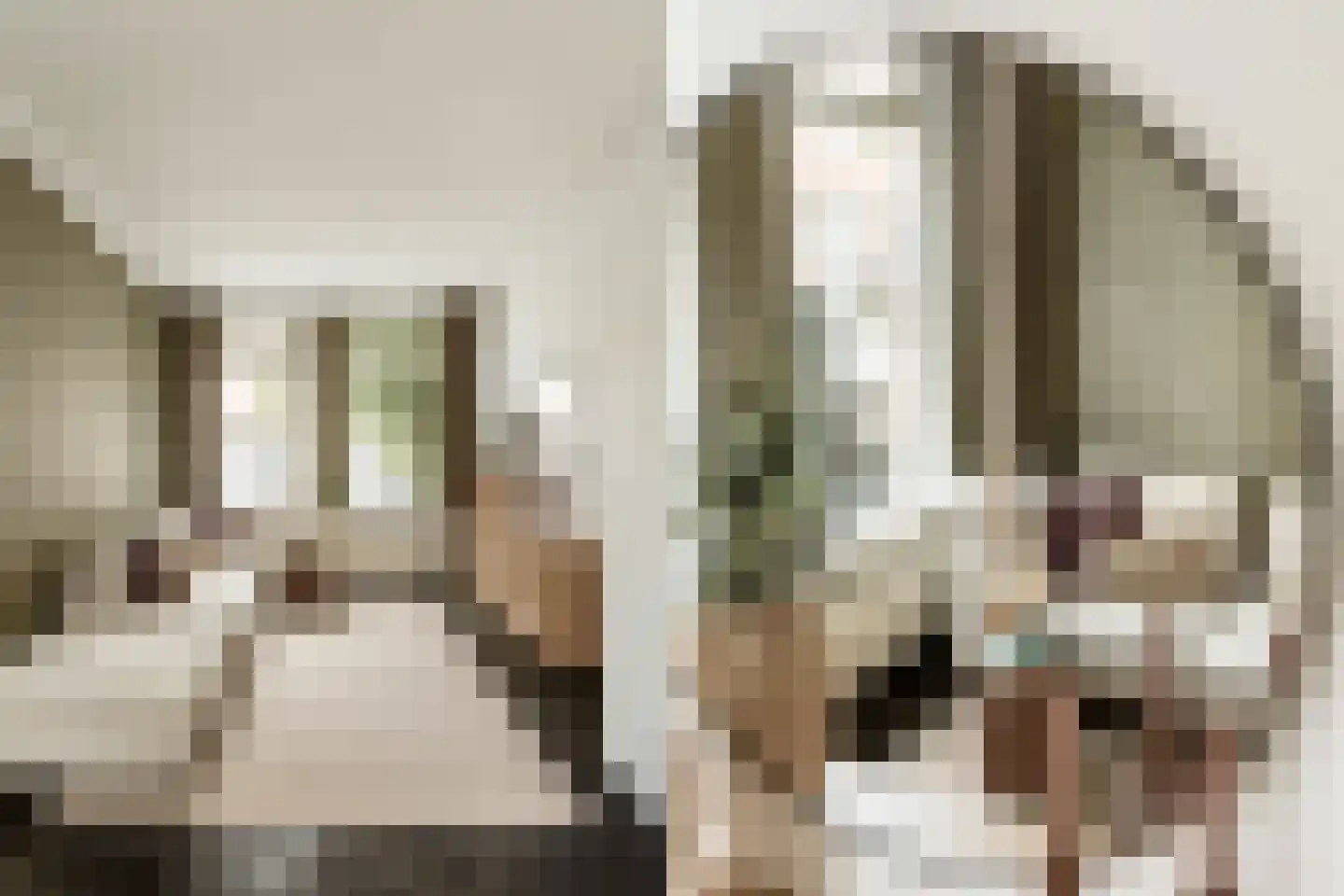 Bankastraat 20 Haarlem thumbnail 9