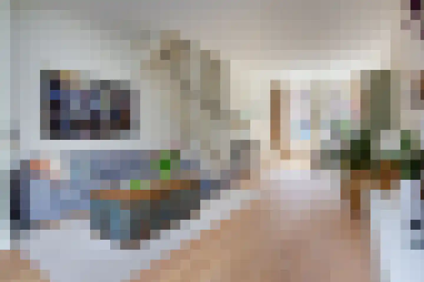Bankastraat 21 Haarlem thumbnail 10
