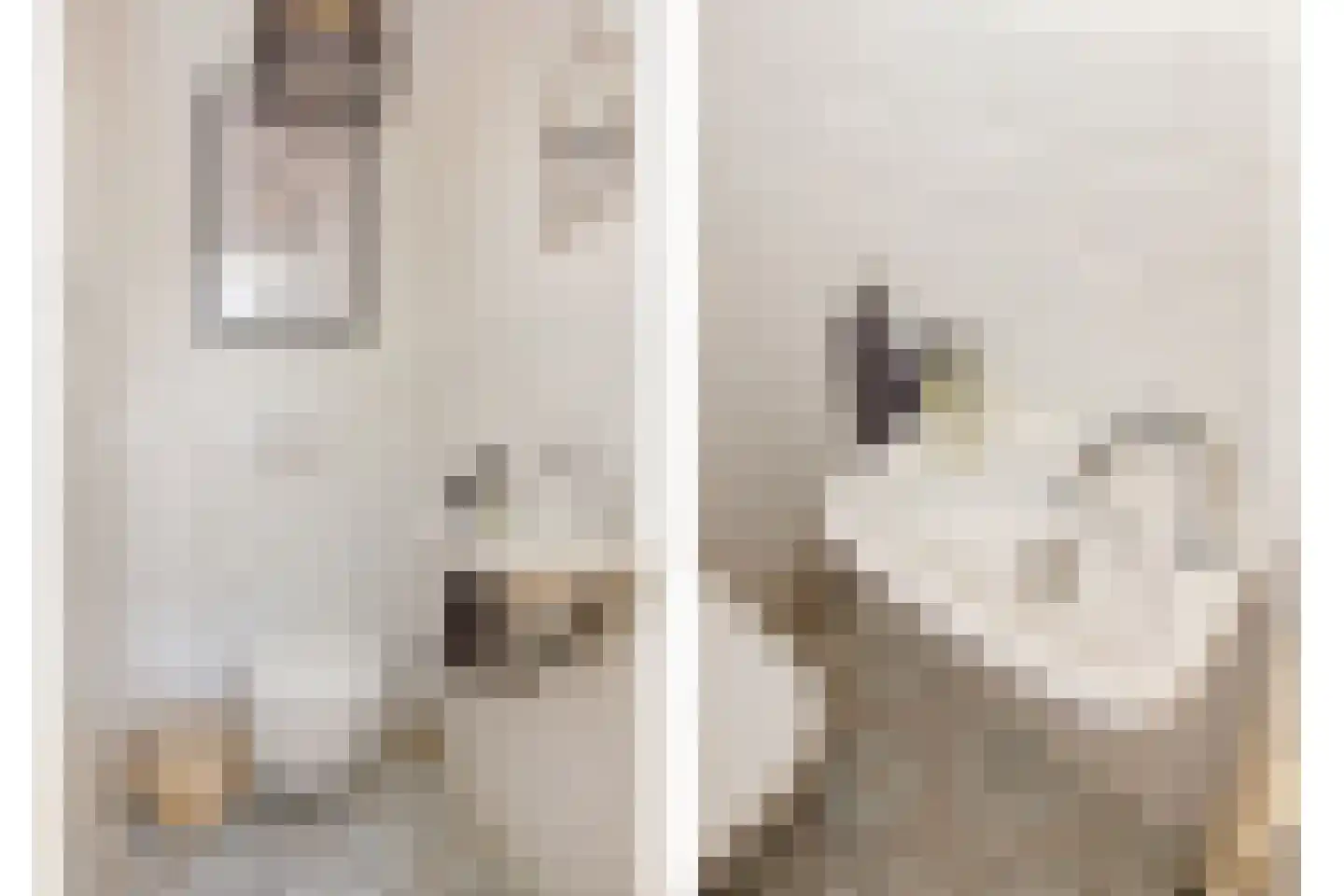 Bankastraat 21 Haarlem thumbnail 22