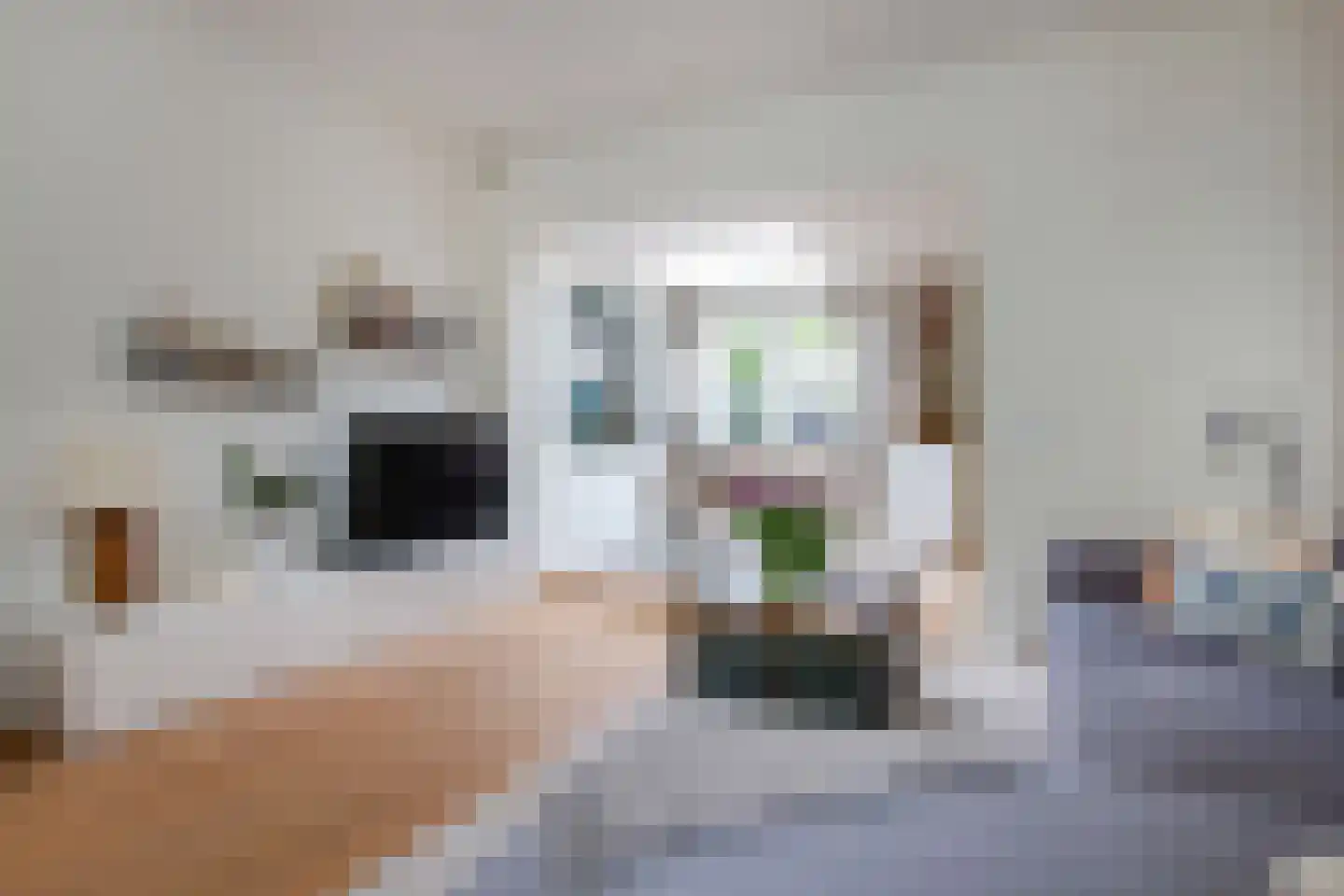 Bankastraat 21 Haarlem thumbnail 7
