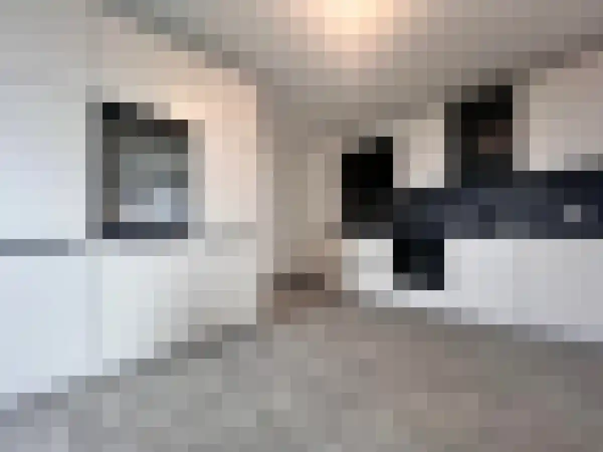 Bankastraat 21 Maastricht thumbnail 6