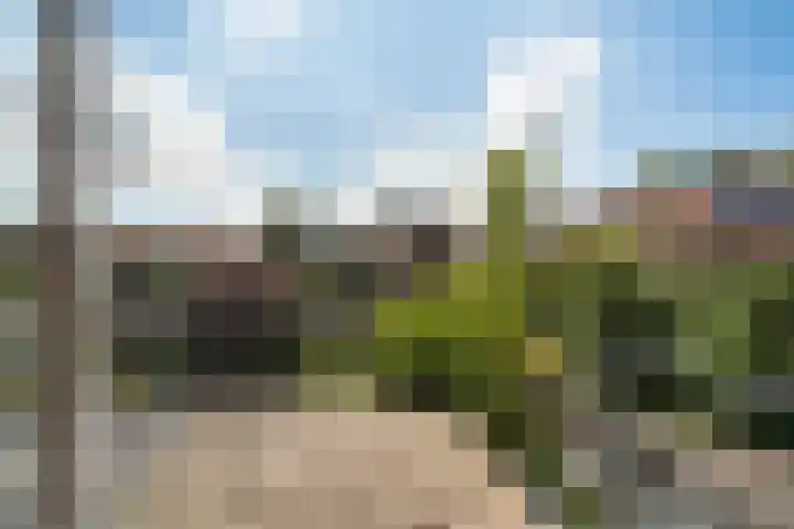 Bankastraat 237 Dordrecht thumbnail 42