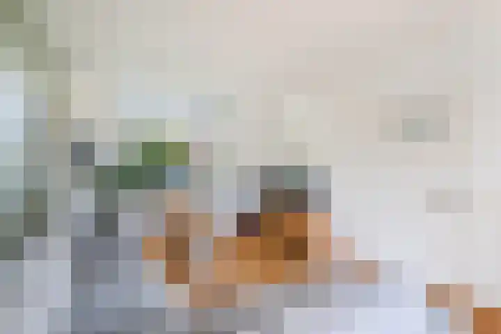 Bankastraat 237 Dordrecht thumbnail 9