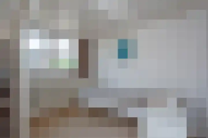 Bankastraat 25 Hengelo thumbnail 31