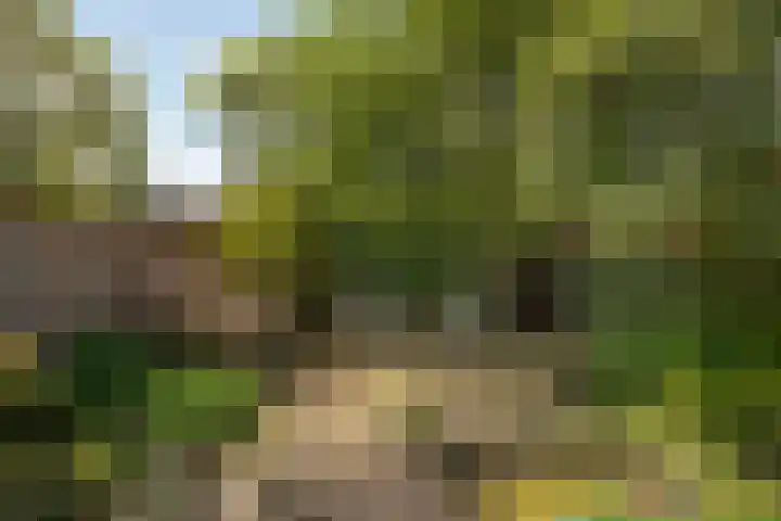 Bankastraat 25 Hengelo thumbnail 36