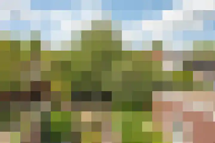 Bankastraat 25 Hengelo thumbnail 41