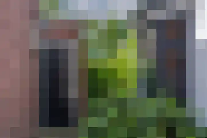 Bankastraat 25 Hengelo thumbnail 46