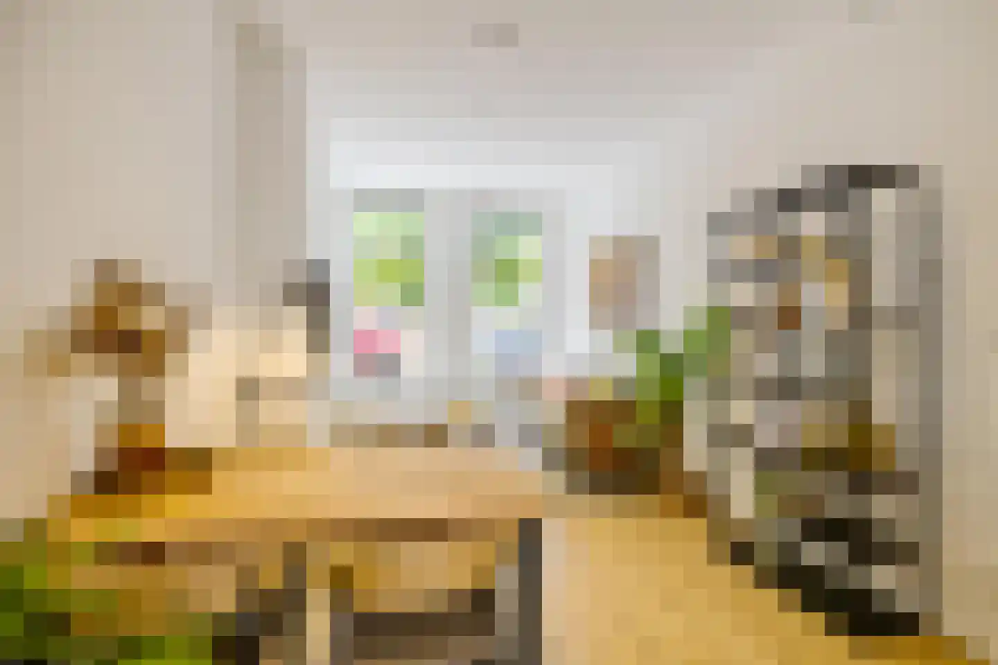 Bankastraat 27 Groningen thumbnail 10