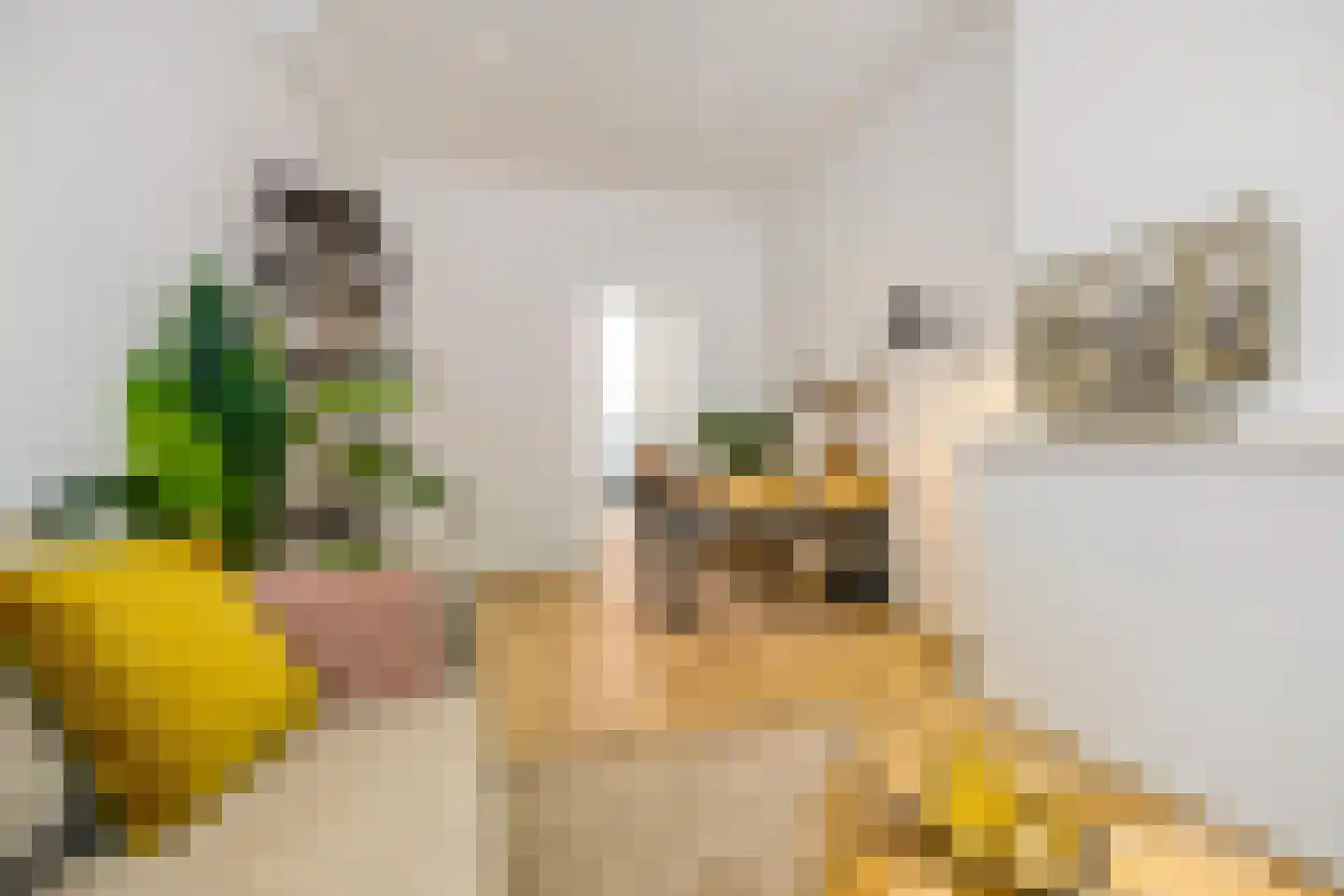 Bankastraat 27 Groningen thumbnail 11