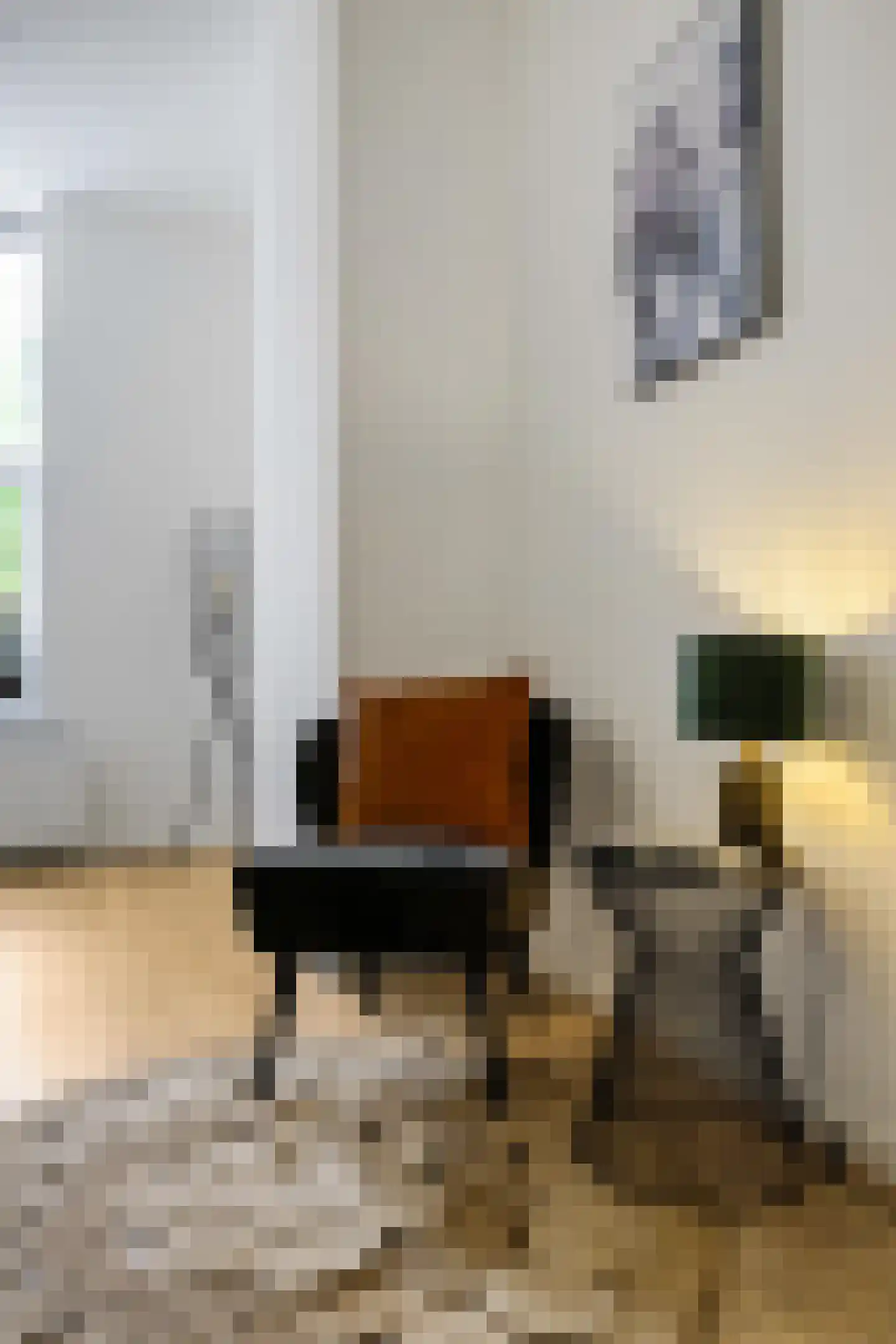 Bankastraat 27 Groningen thumbnail 15