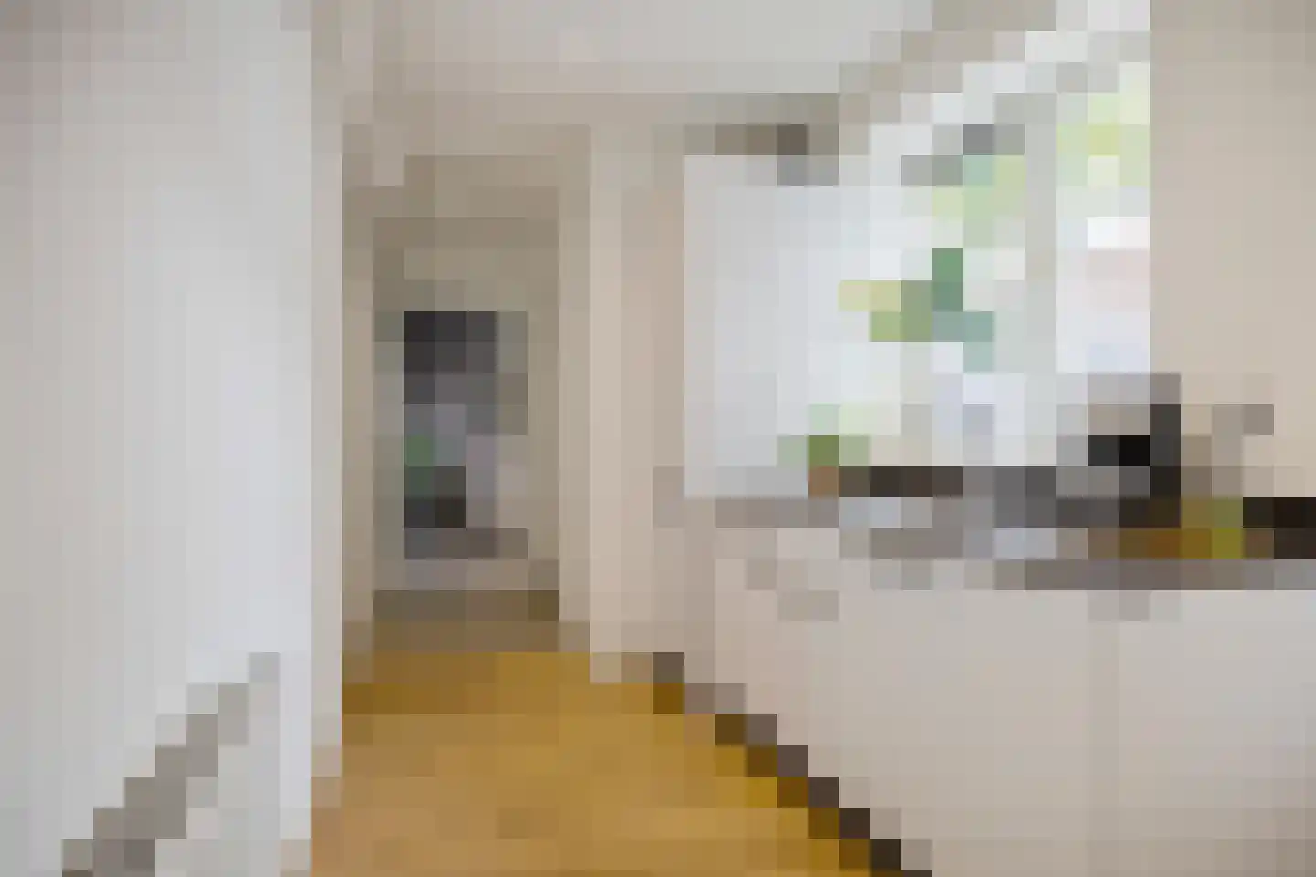 Bankastraat 27 Groningen thumbnail 20