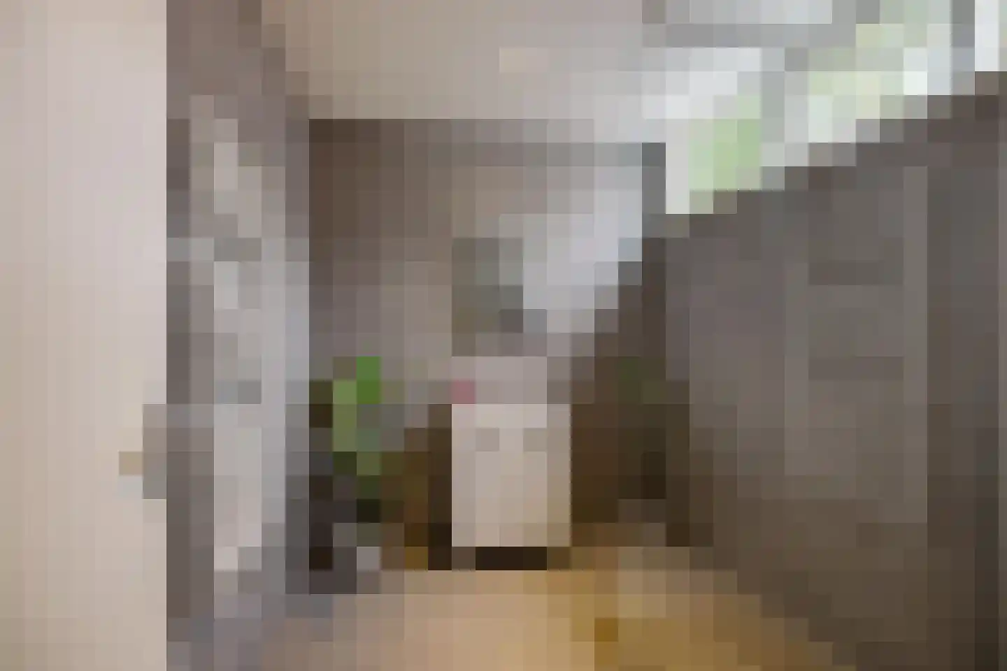 Bankastraat 27 Groningen thumbnail 25