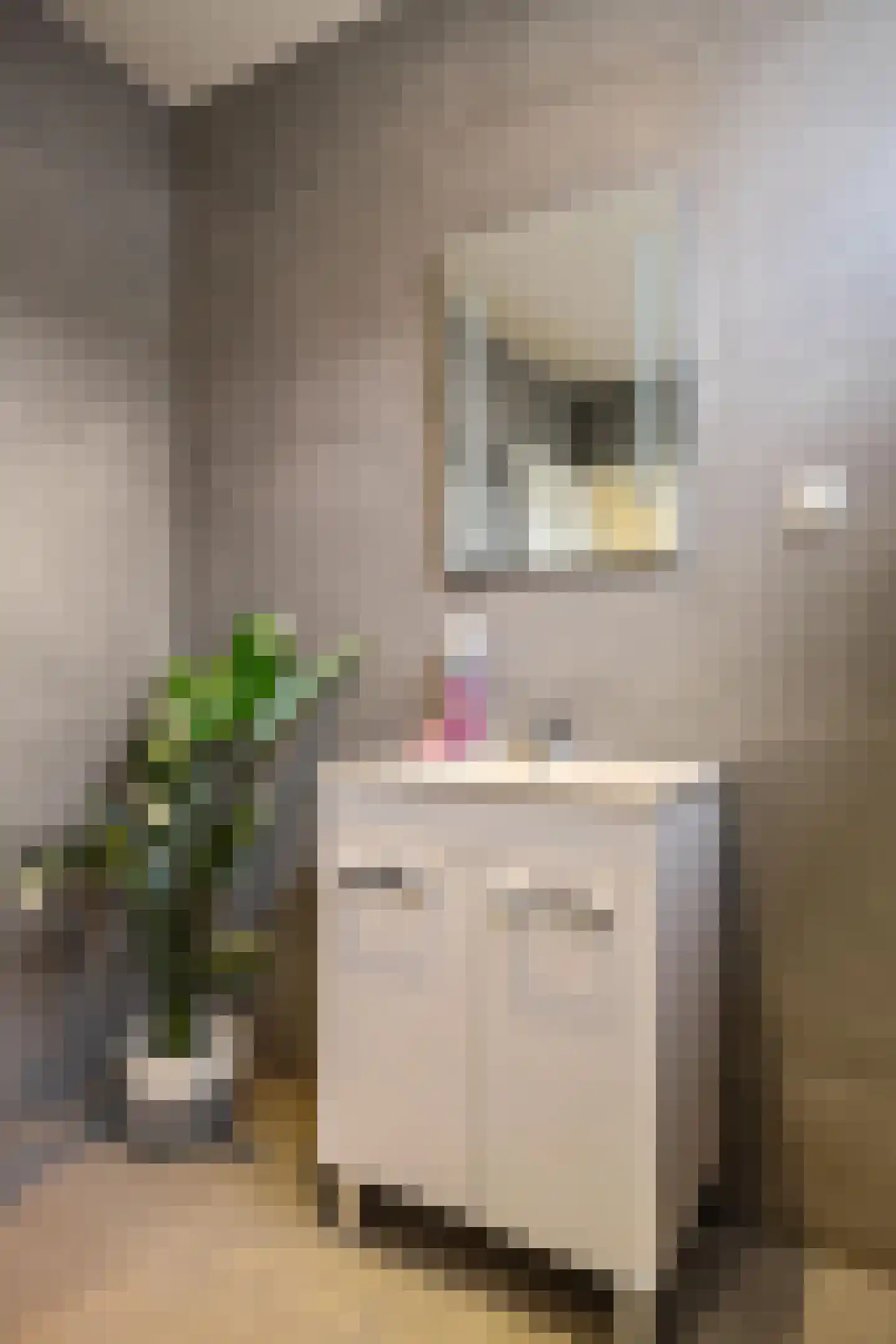 Bankastraat 27 Groningen thumbnail 28