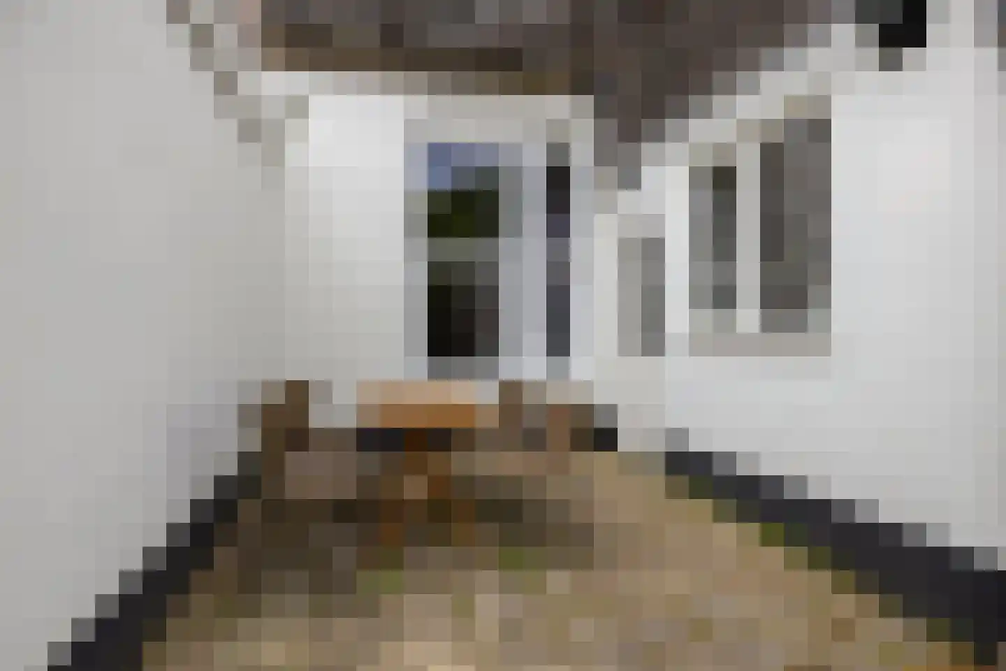 Bankastraat 27 Groningen thumbnail 30