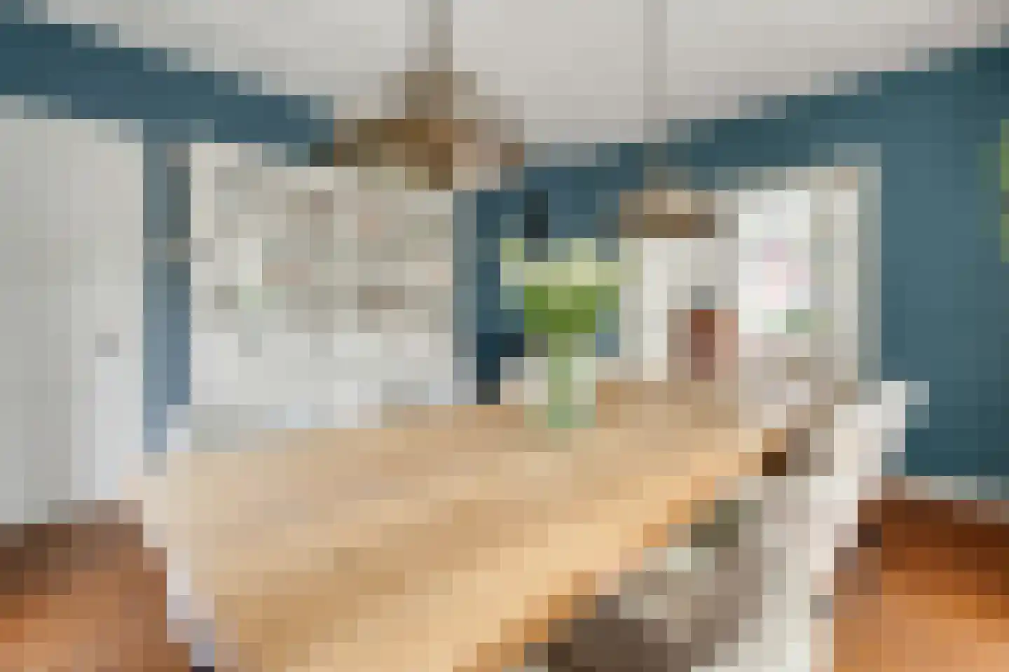 Bankastraat 29 Hengelo thumbnail 20
