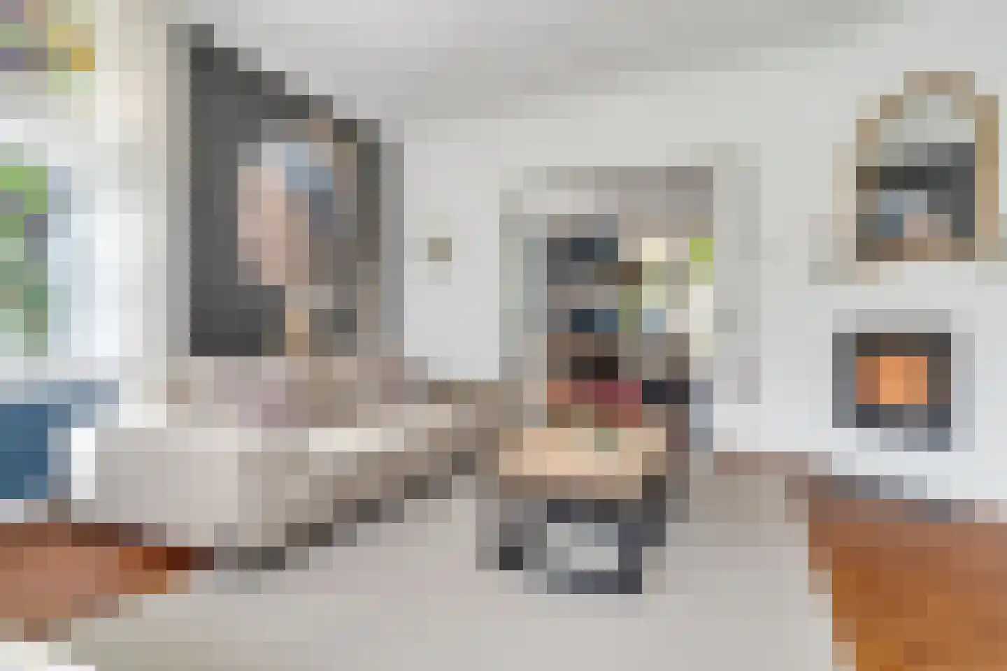 Bankastraat 29 Hengelo thumbnail 27