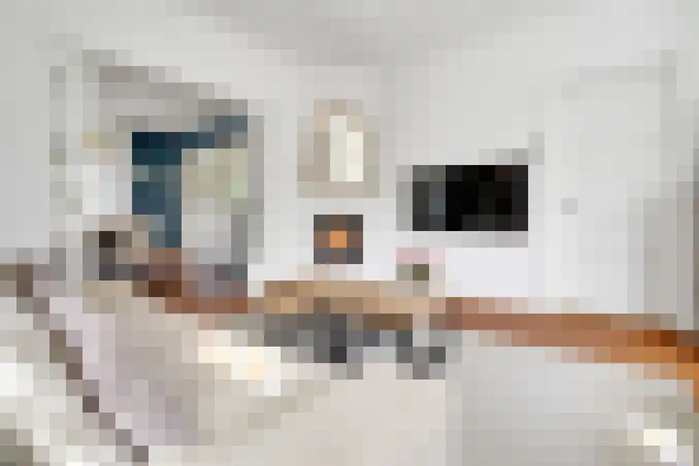Bankastraat 29 Hengelo thumbnail 28