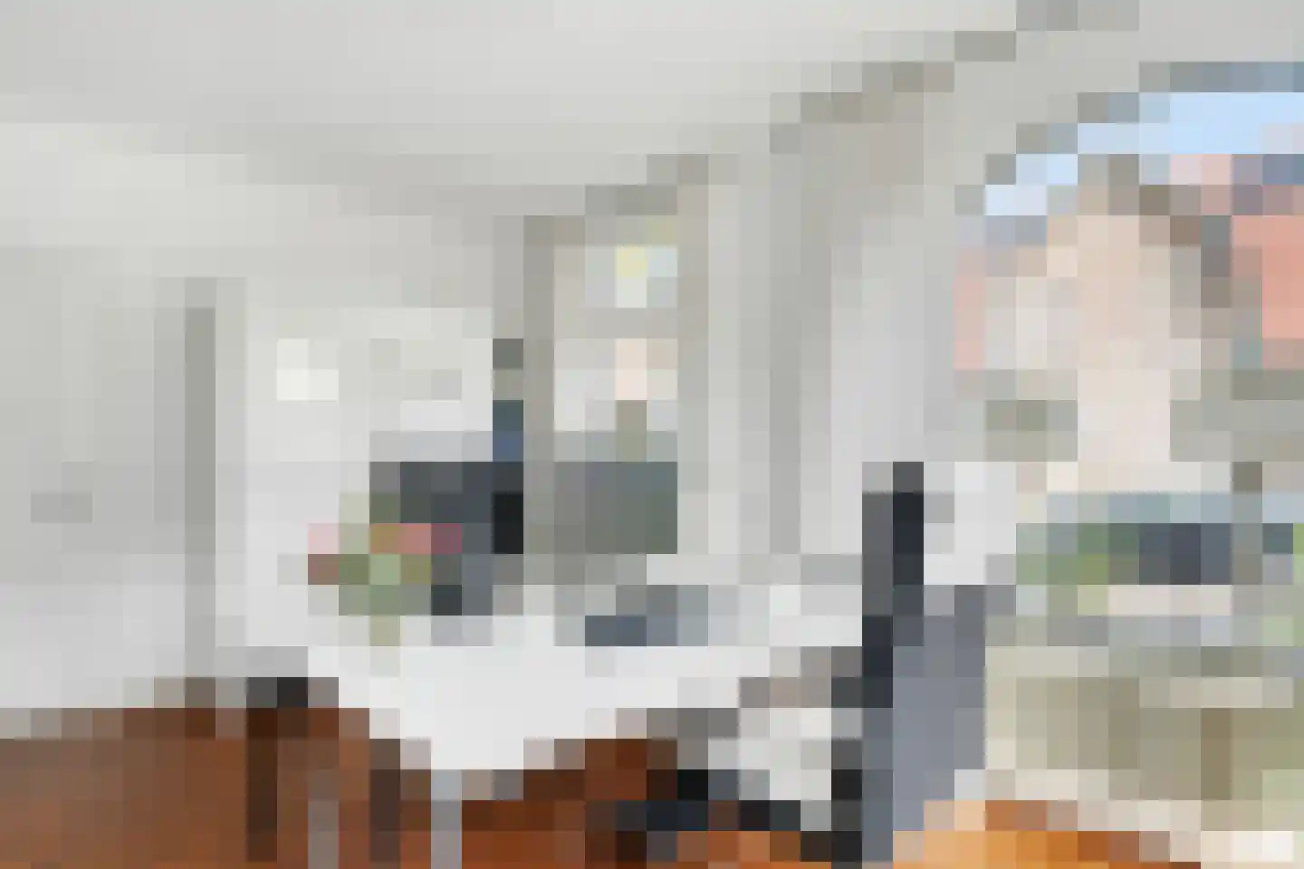 Bankastraat 29 Hengelo thumbnail 31