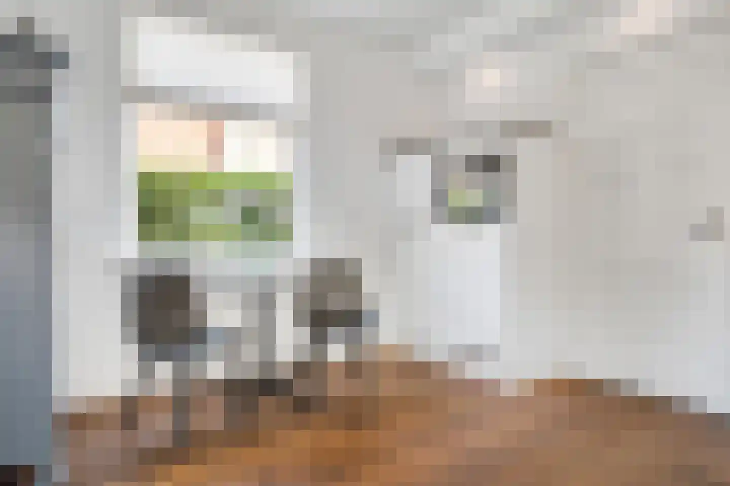Bankastraat 29 Hengelo thumbnail 36