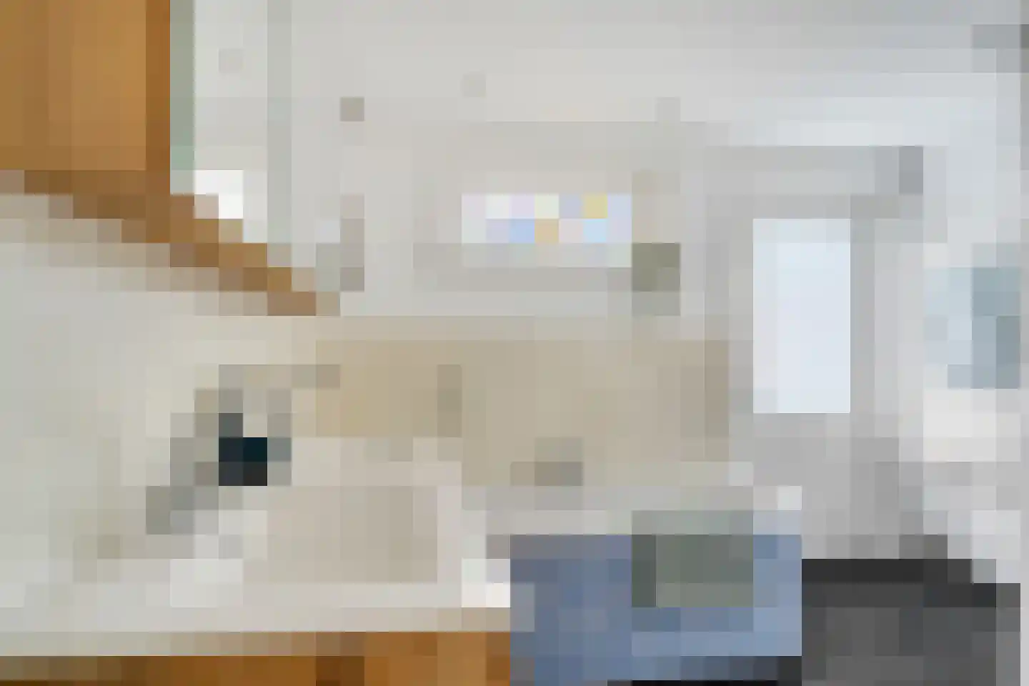 Bankastraat 29 Hengelo thumbnail 45