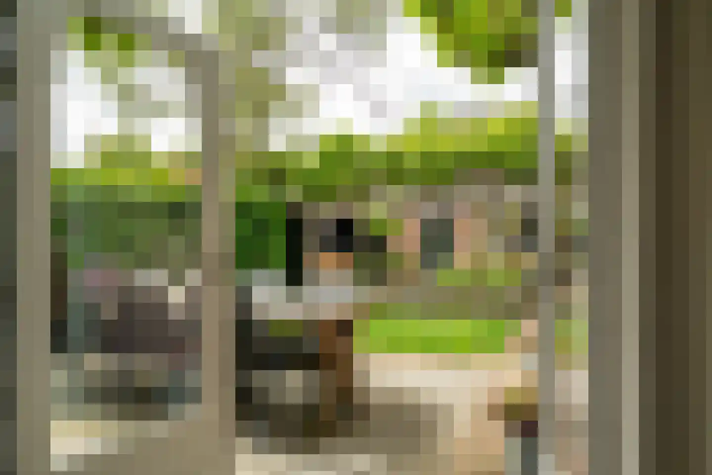 Bankastraat 29 Hengelo thumbnail 57