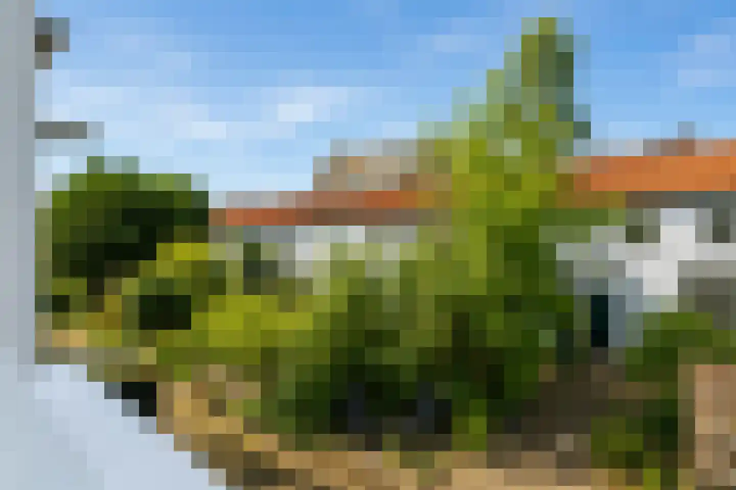 Bankastraat 31 Den Haag thumbnail 33