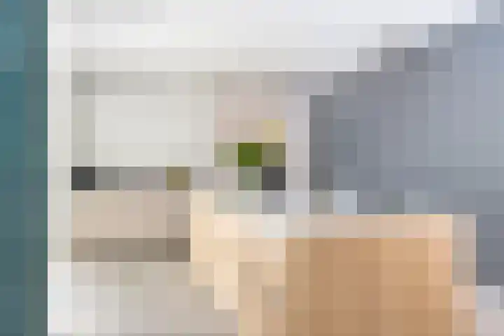 Bankastraat 31 Hengelo thumbnail 31
