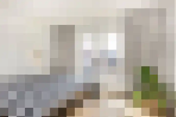 Bankastraat 31 Hengelo thumbnail 41