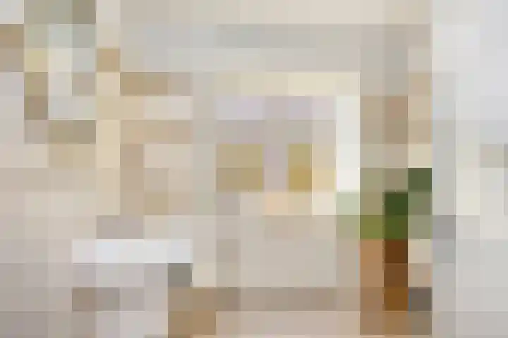 Bankastraat 31 Hengelo thumbnail 43