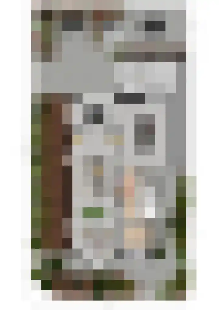 Bankastraat 31 Hengelo thumbnail 68