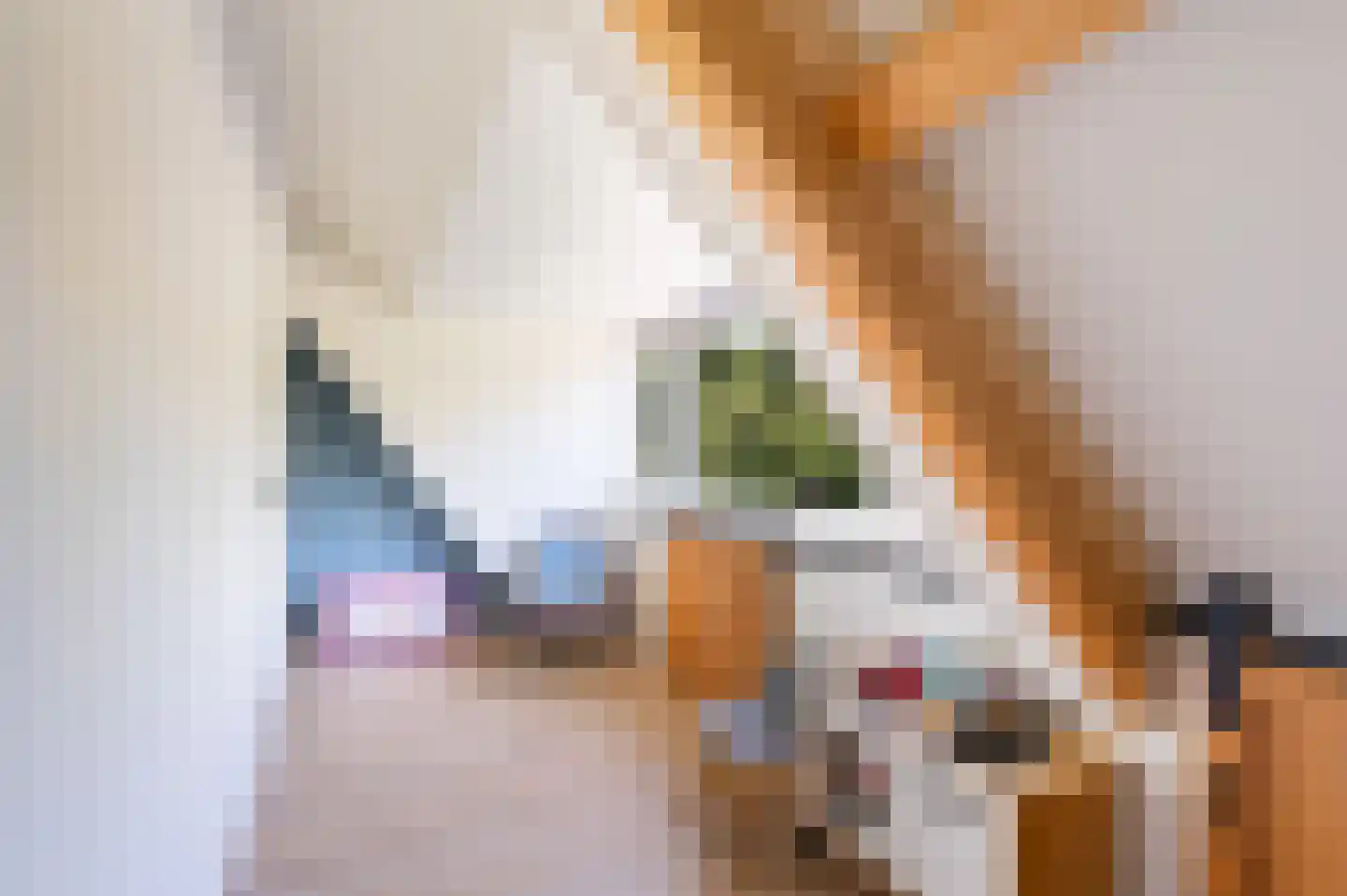 Bankastraat 324 Dordrecht thumbnail 37