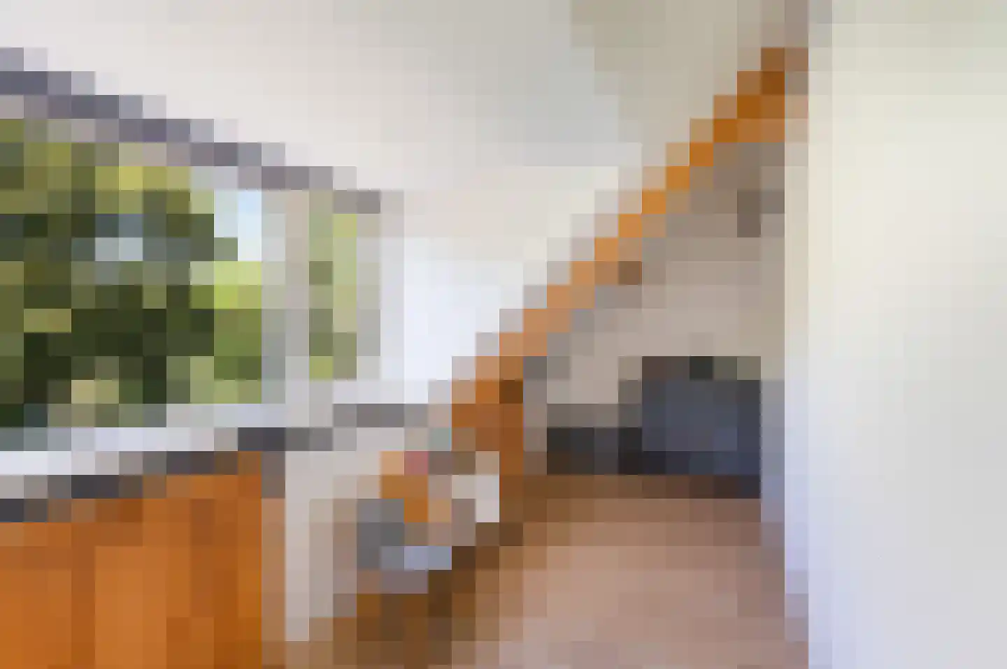 Bankastraat 324 Dordrecht thumbnail 38