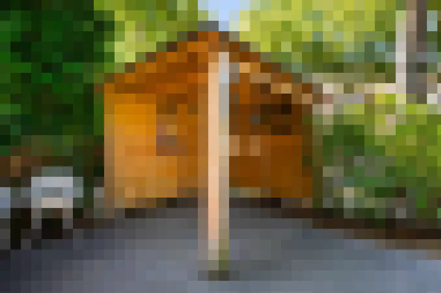 Bankastraat 324 Dordrecht thumbnail 44