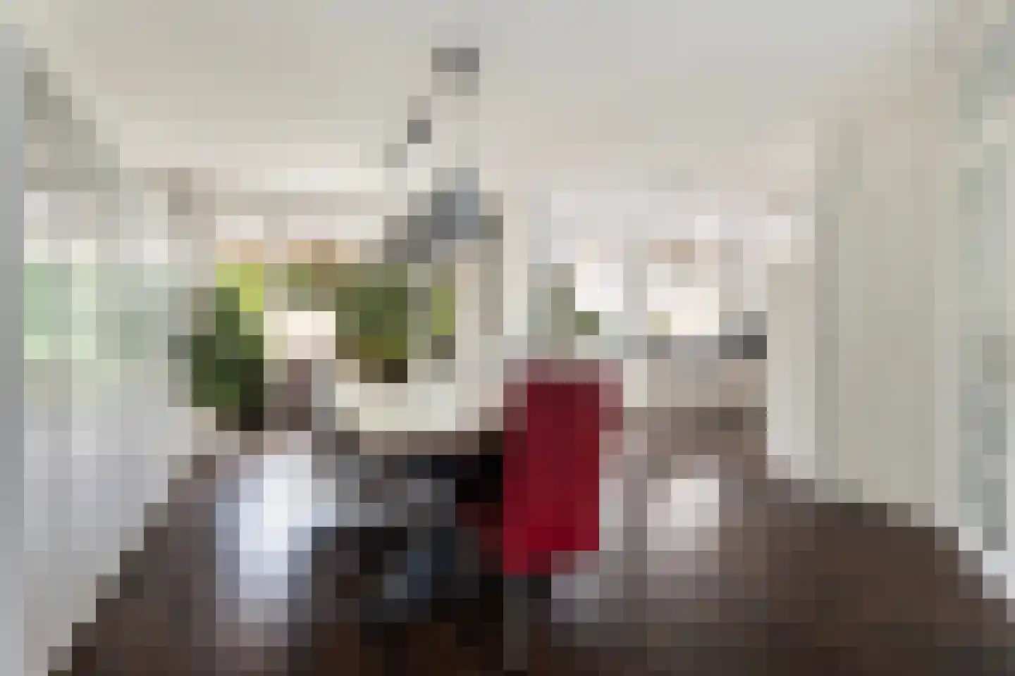 Bankastraat 33 Dordrecht thumbnail 18