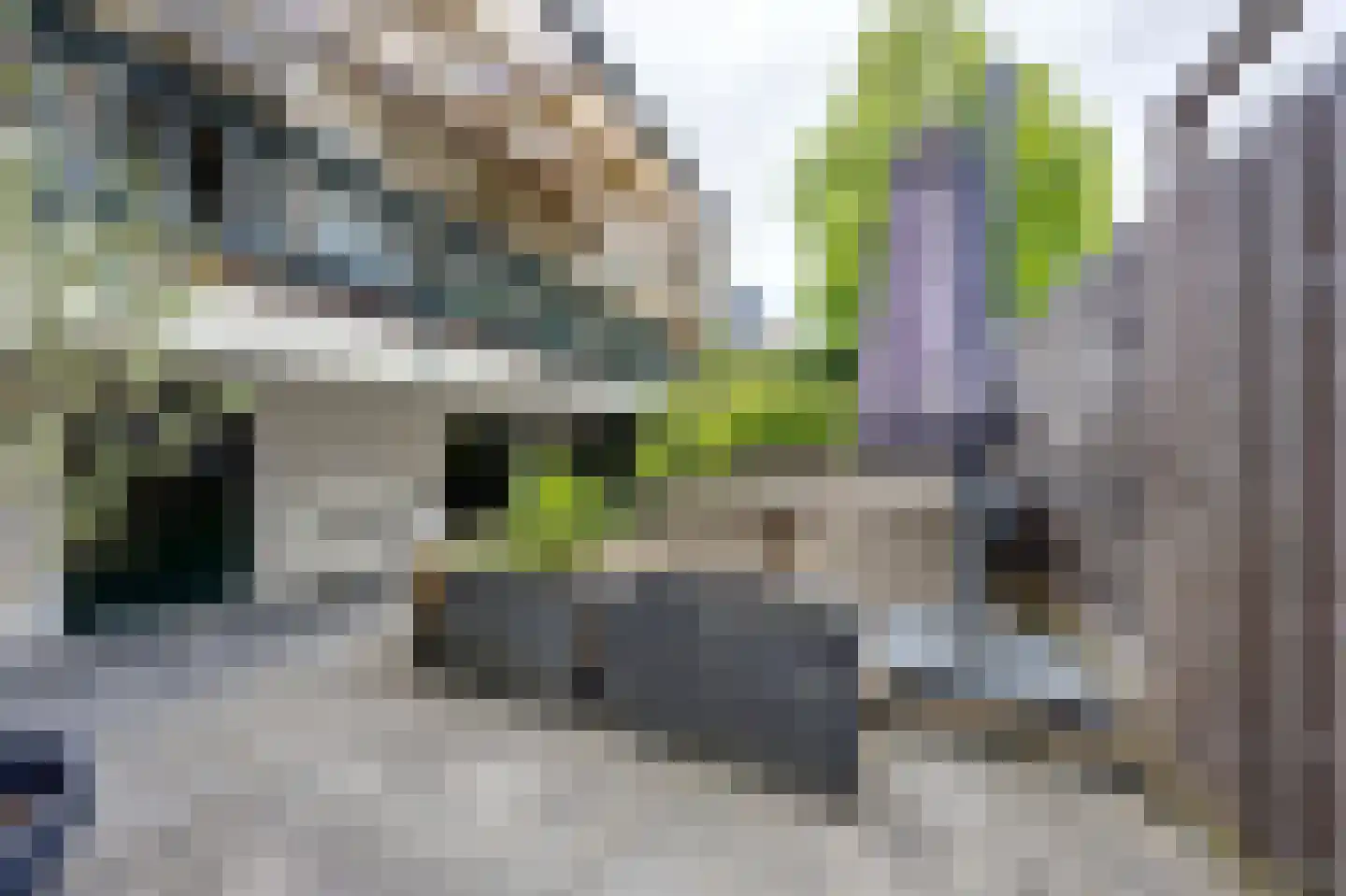 Bankastraat 33 Dordrecht thumbnail 33