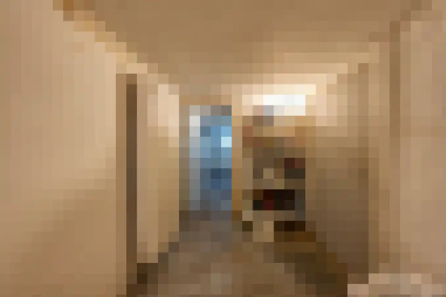Bankastraat 33 Dordrecht thumbnail 34