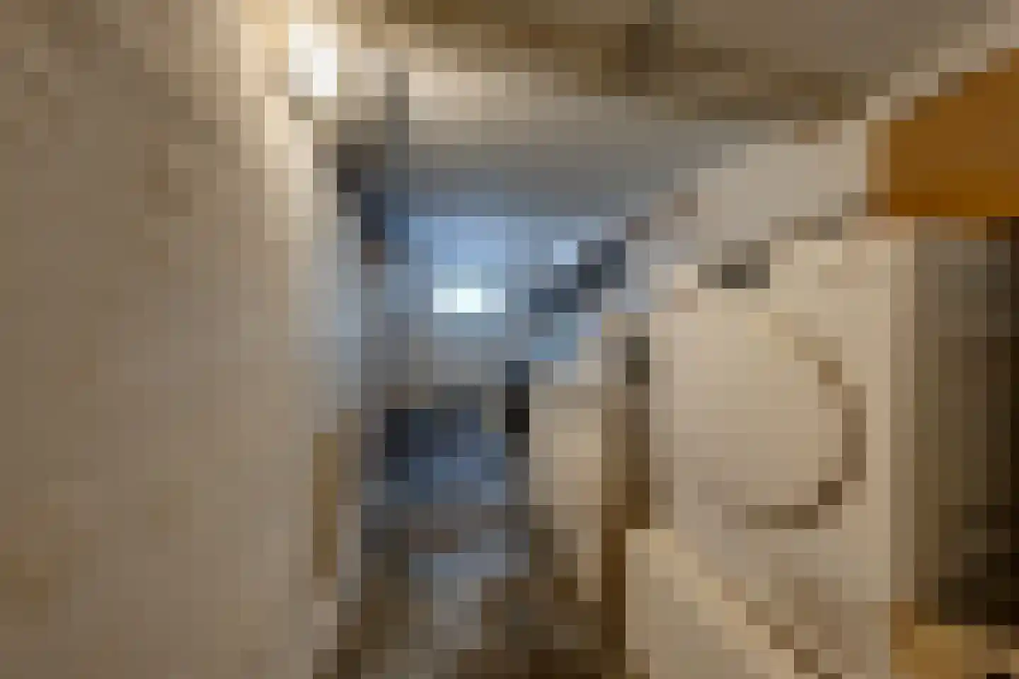 Bankastraat 33 Dordrecht thumbnail 35