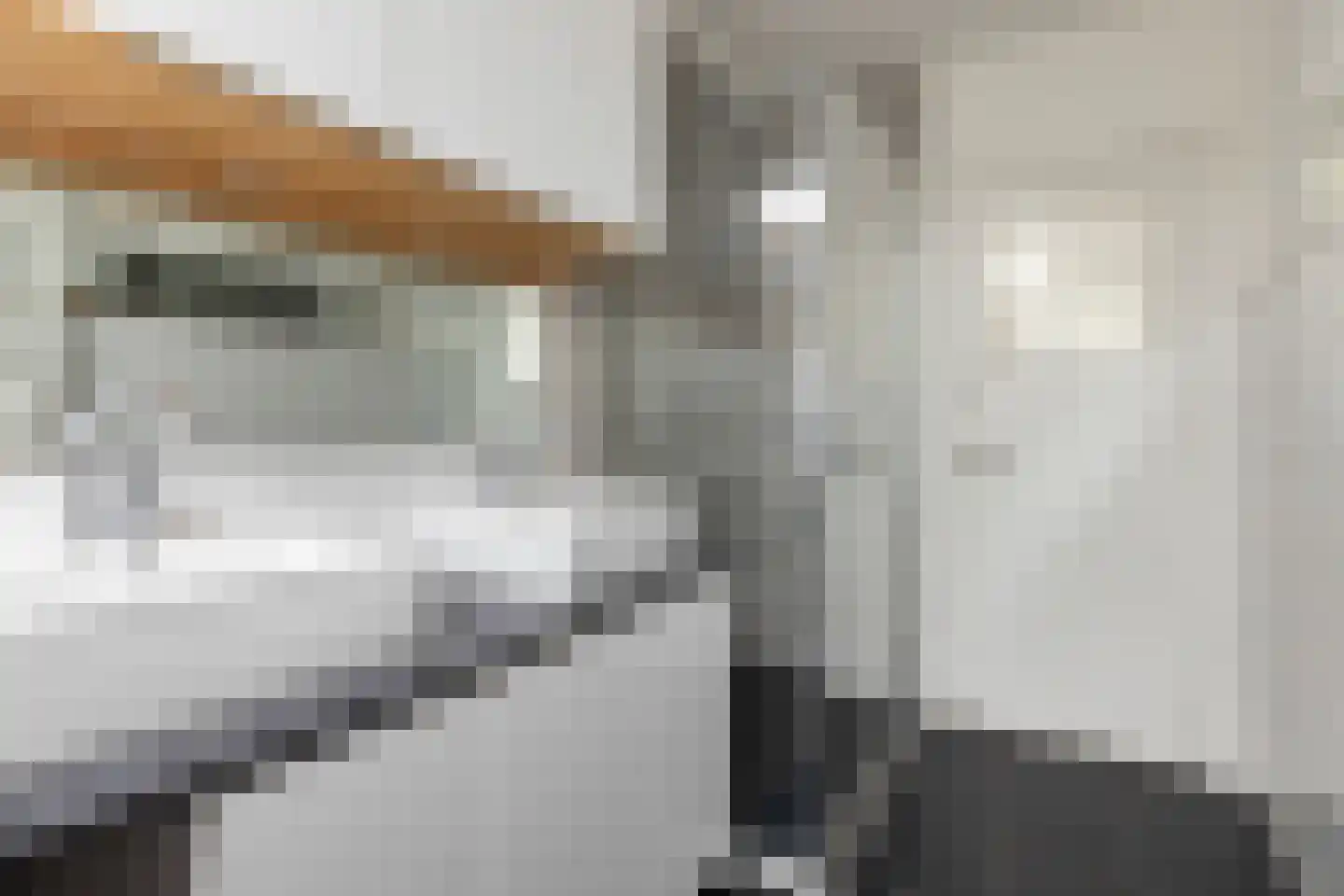 Bankastraat 33 Dordrecht thumbnail 41